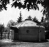 Dymaxion houses