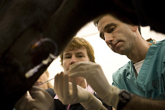 Anna Gelzer and Marc Kraus