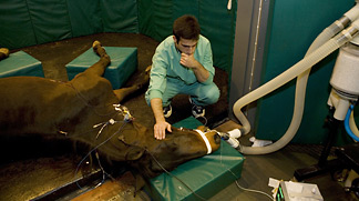 Manuel Martin Flores