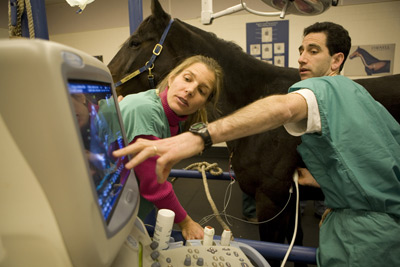 Anna Gelzer and Marc Kraus