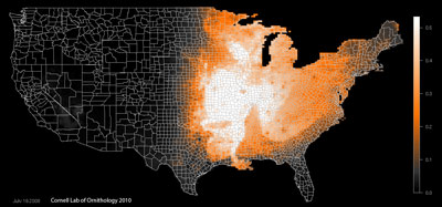 Maps like this reveal bird