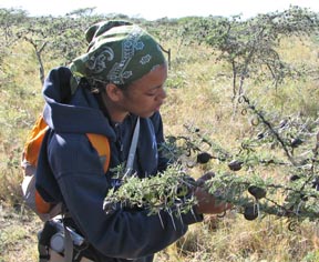 Field course student Sharri Zamore