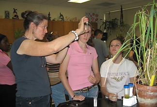 Susan McCouch teaches students