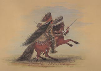 Native American Collection