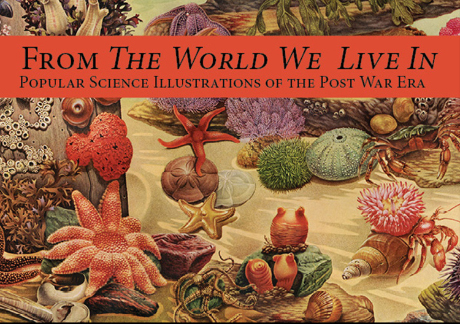 science illustrators' work