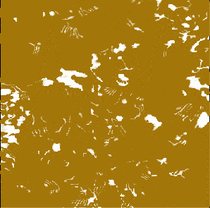 atomic force microscopy image