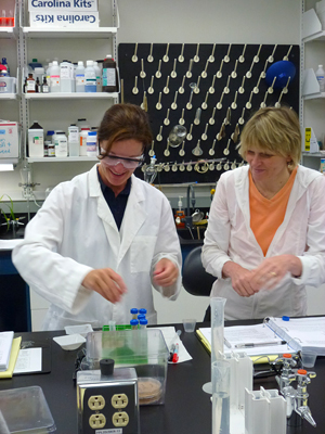 Rachel Barton and Susan Moore-Palumbo