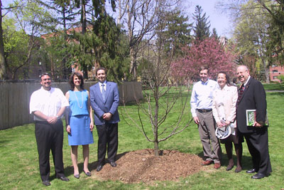 people standing near a tree