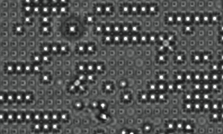 A confocal microscopy image of polystyrene particle clusters beginning to form crystals on a substrate.