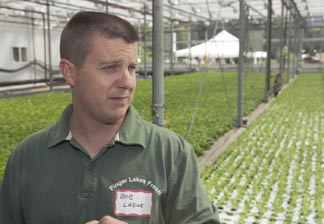 Greenhouse manager Bob LaDue