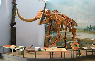 Hyde Park mastodon