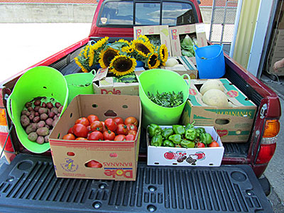 donated fruits and vegetables