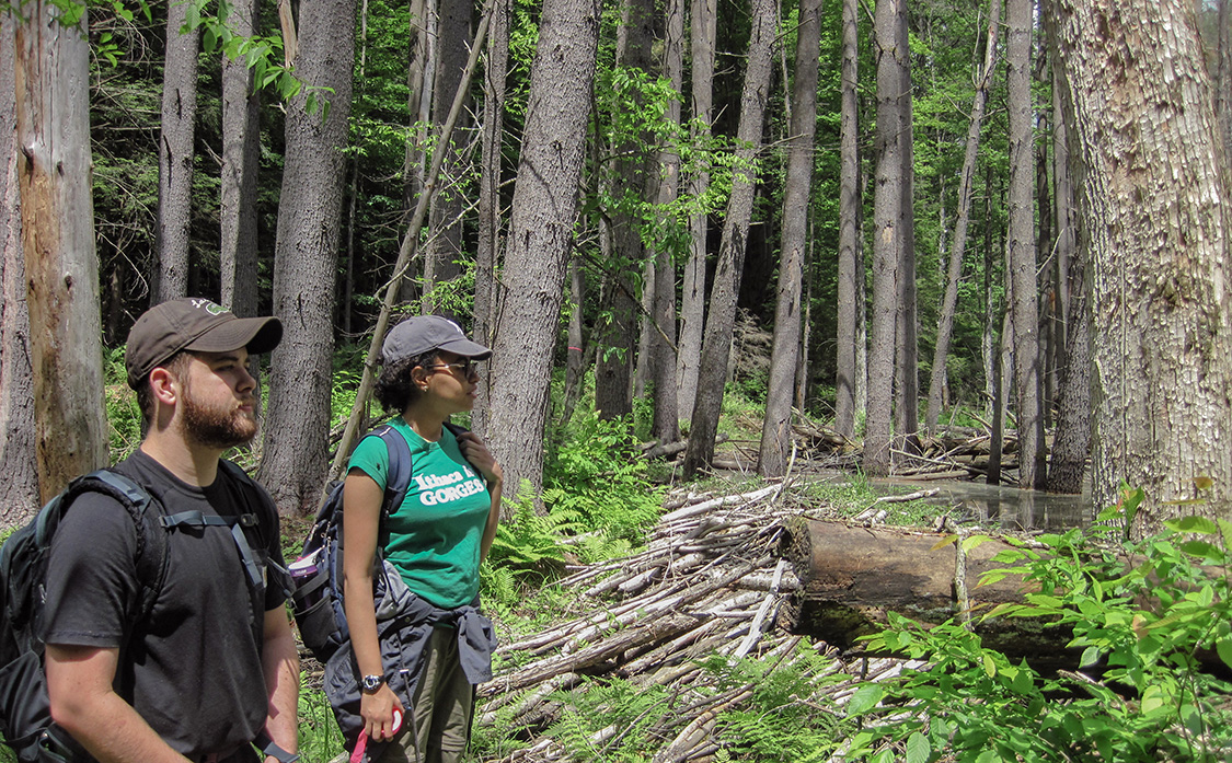 Tyler Shaban '17, left, and Jailene Hidalgo '18 conduct research in the Adirondacks