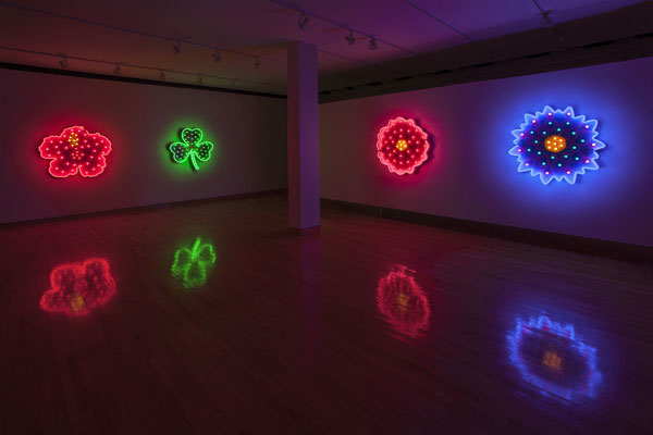 Efflorescence exhibition