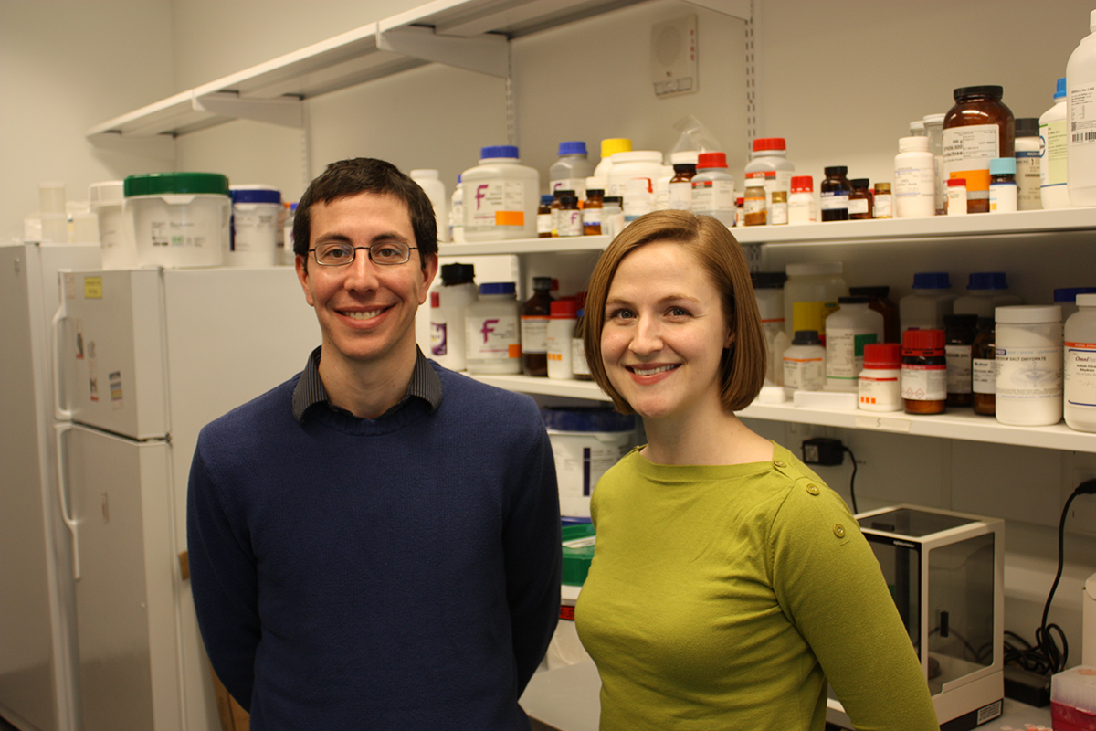 Fromme and Gustafson