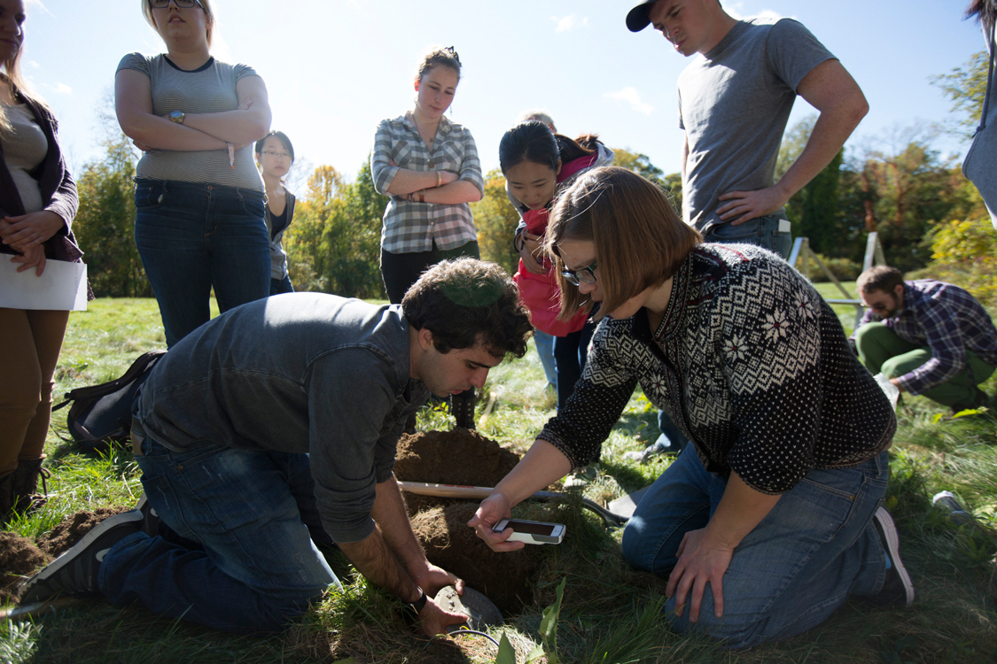 Seismometers in ground