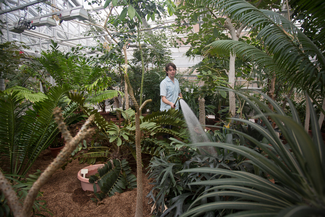 Paul Cooper watering plants