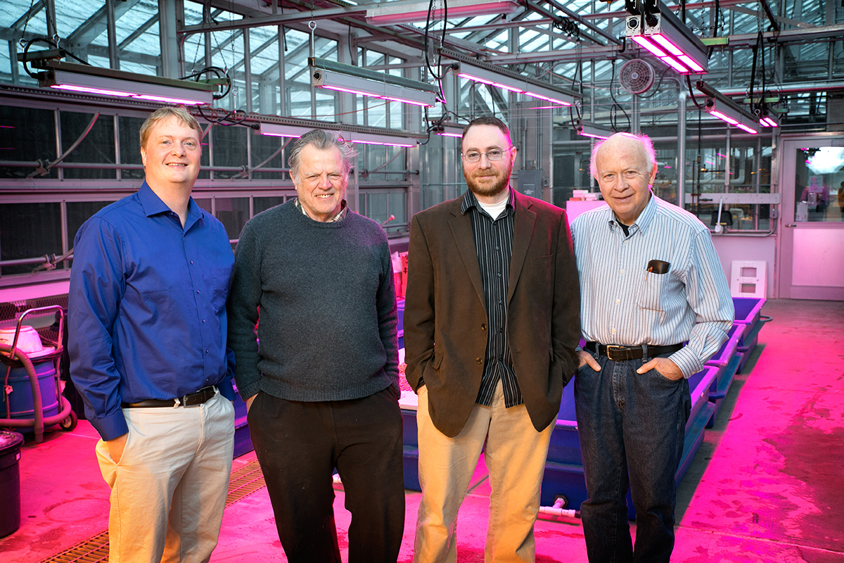 Researchers in greenhouse