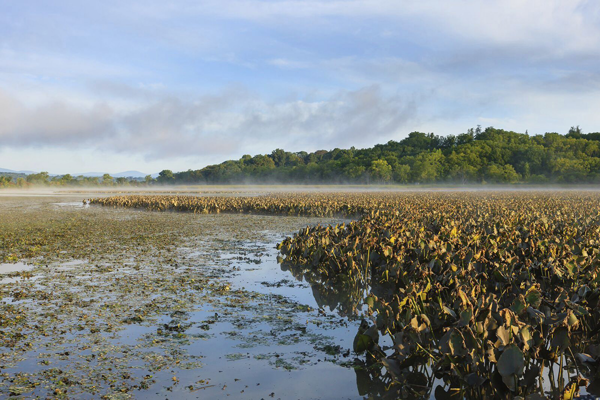 Hudson tidal flat