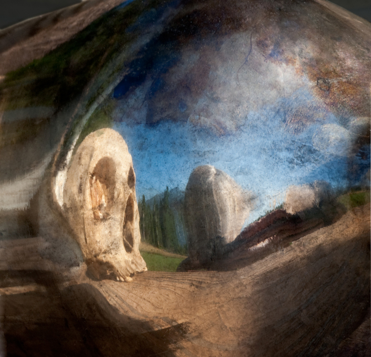 An Art That Nature Makes